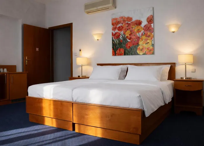 Pawlovnia Hotel 3*